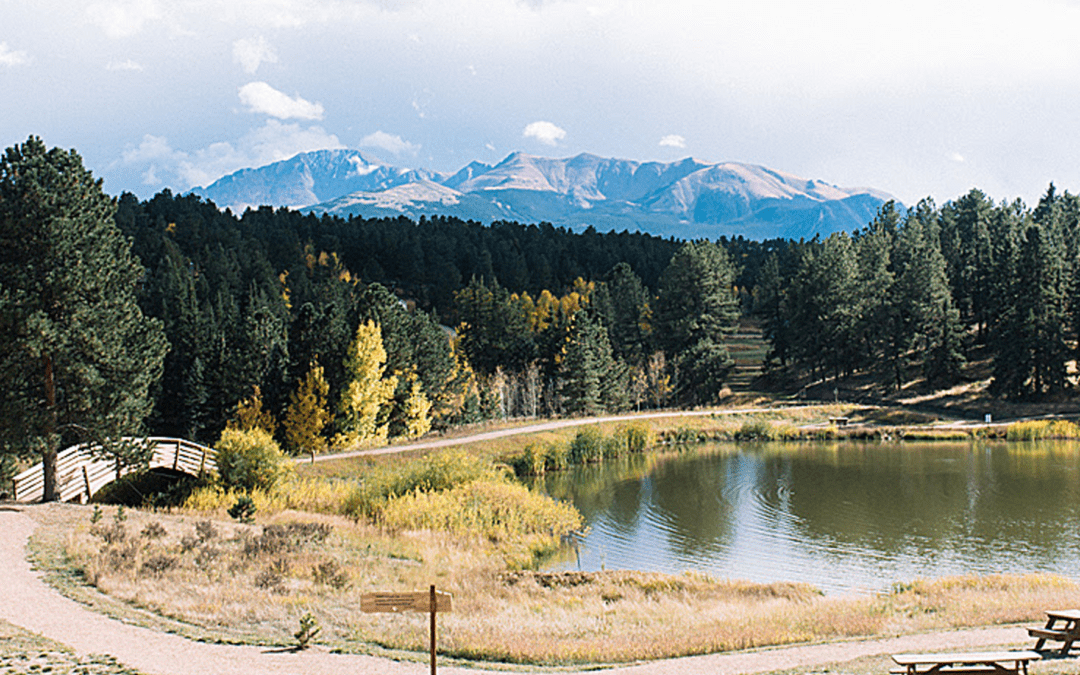 Hij geeft ons dekking