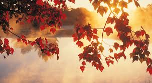 Welke taal spreek je?